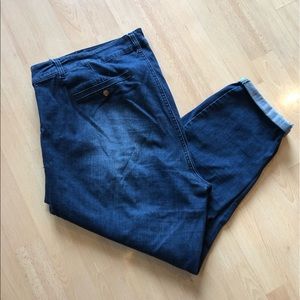 D. Jeans plus size cropped ankle jeans 1x
